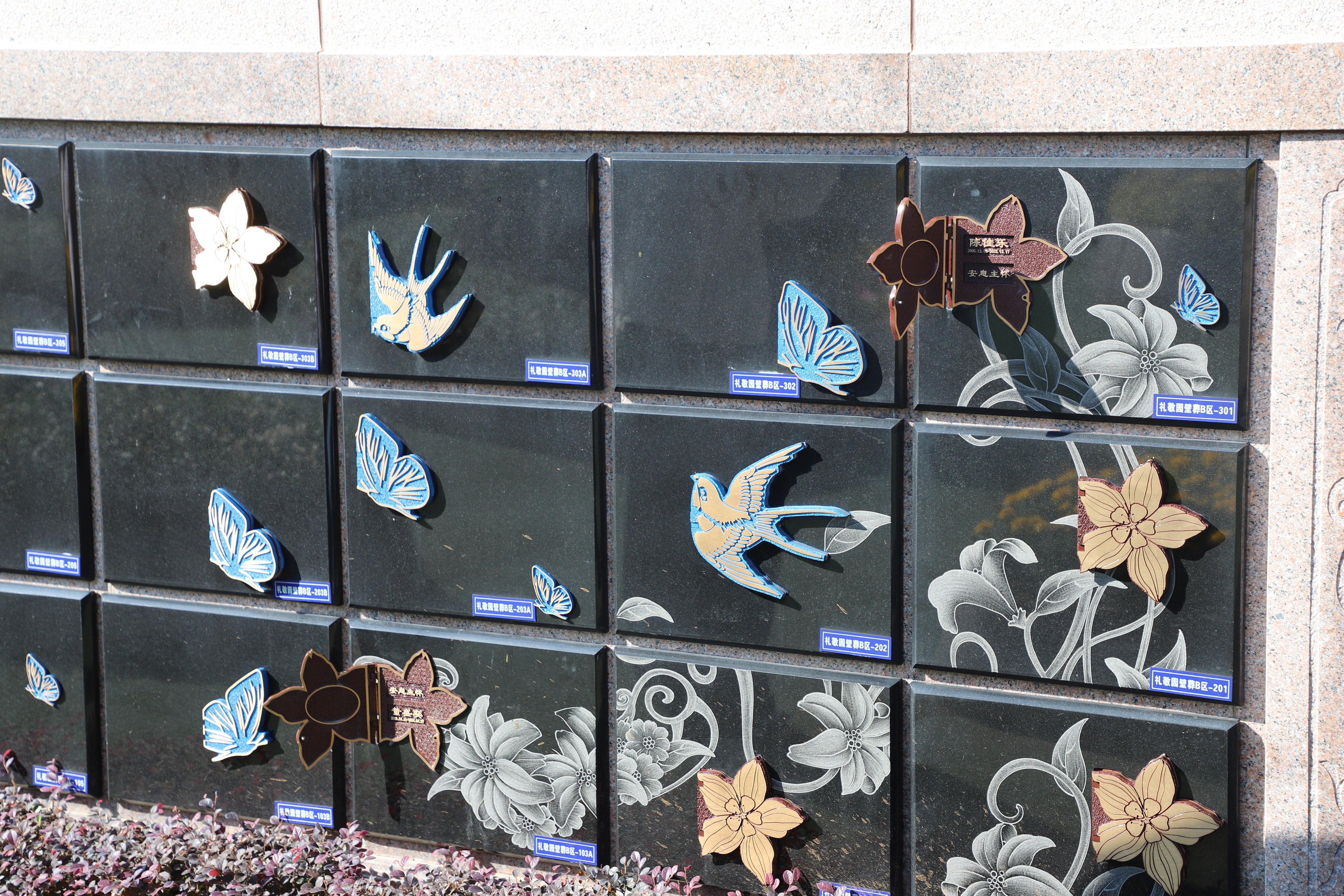 抖圈-为du而生官网入口