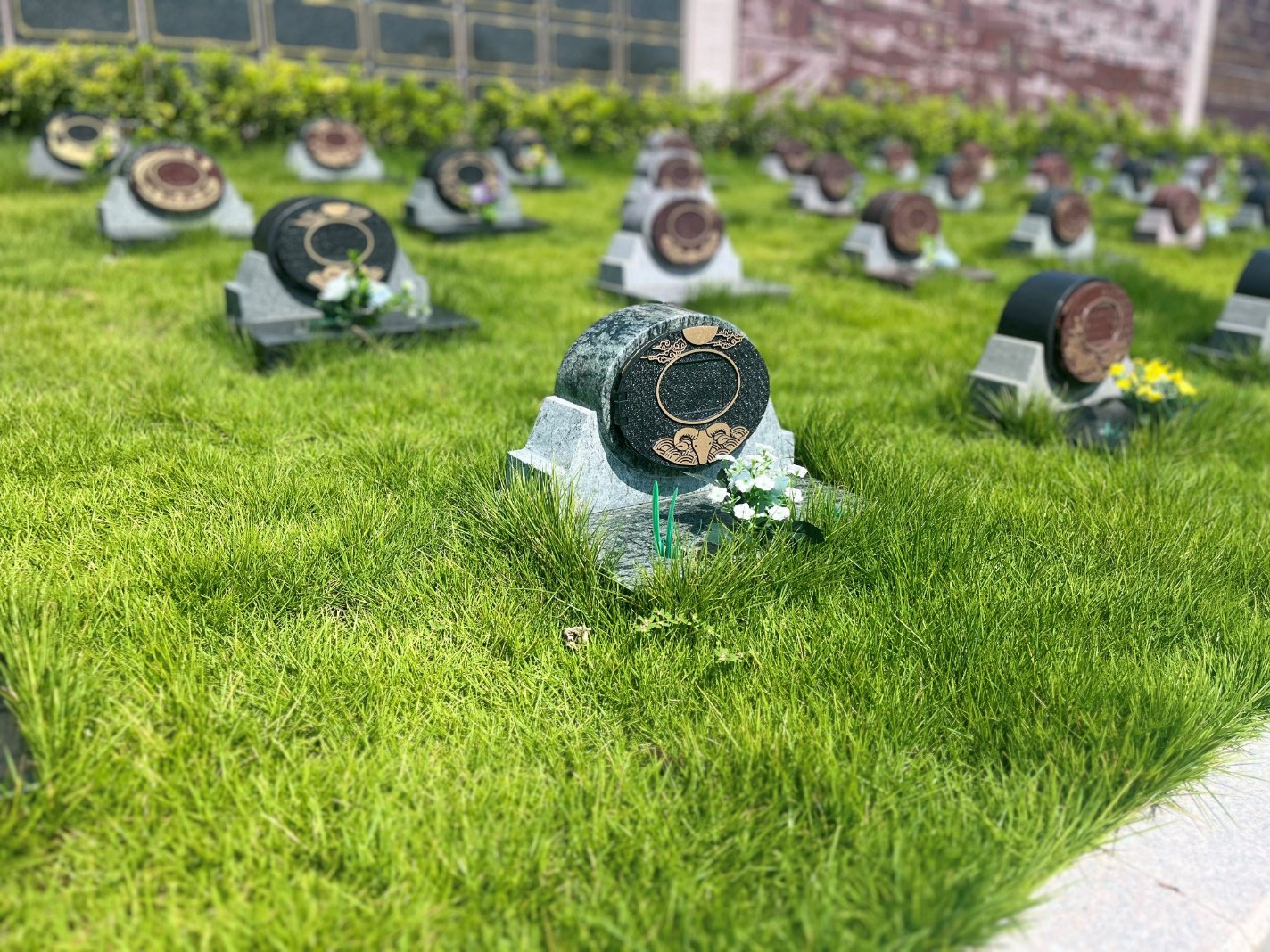 抖圈-为du而生官网入口