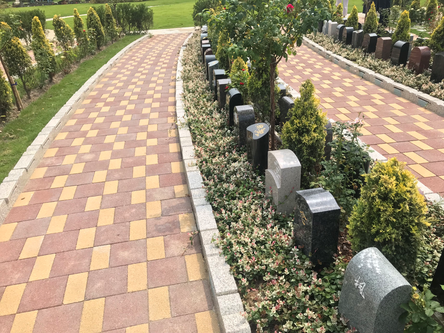 抖圈-为du而生官网入口