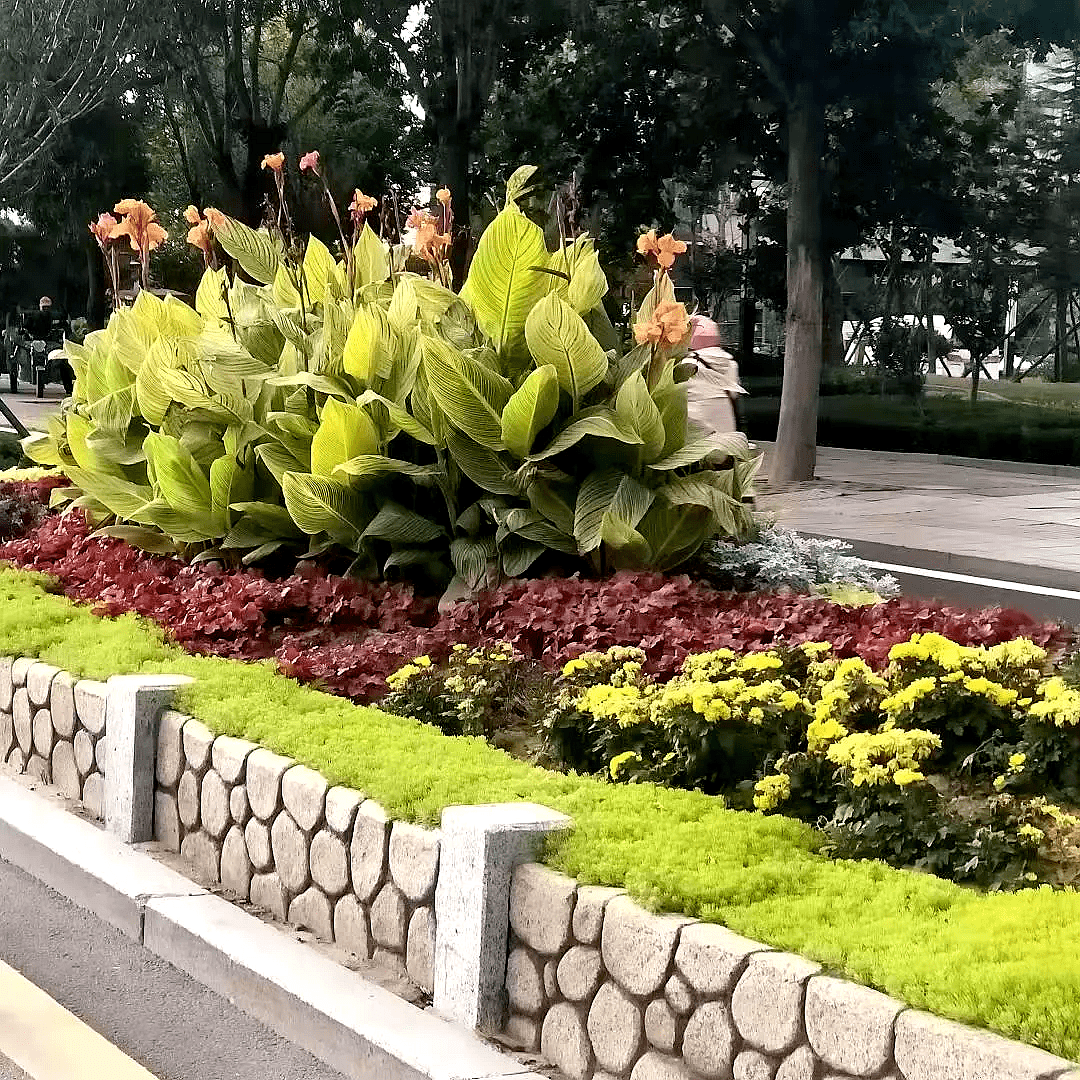 抖圈-为du而生官网入口