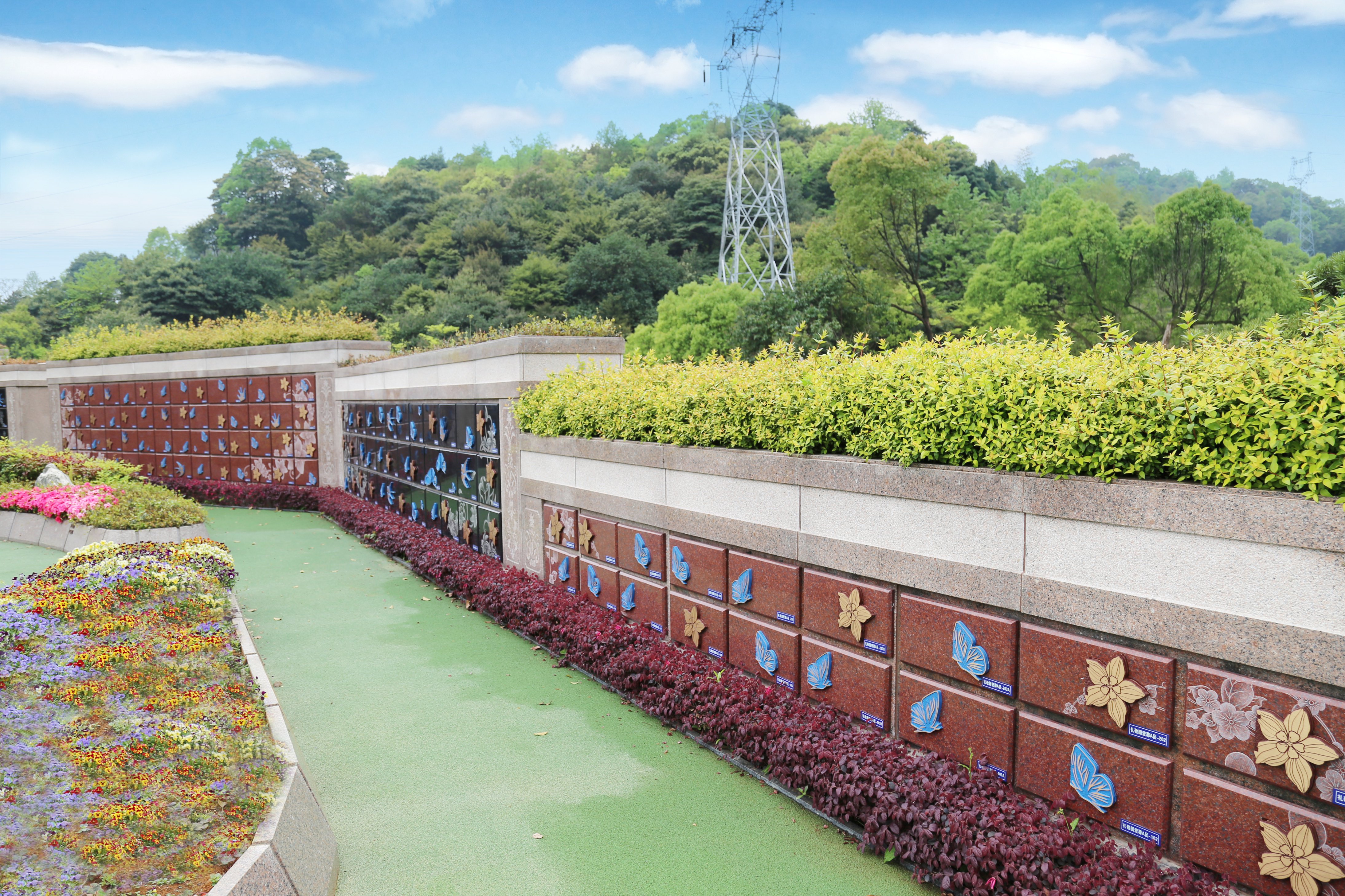 抖圈-为du而生官网入口