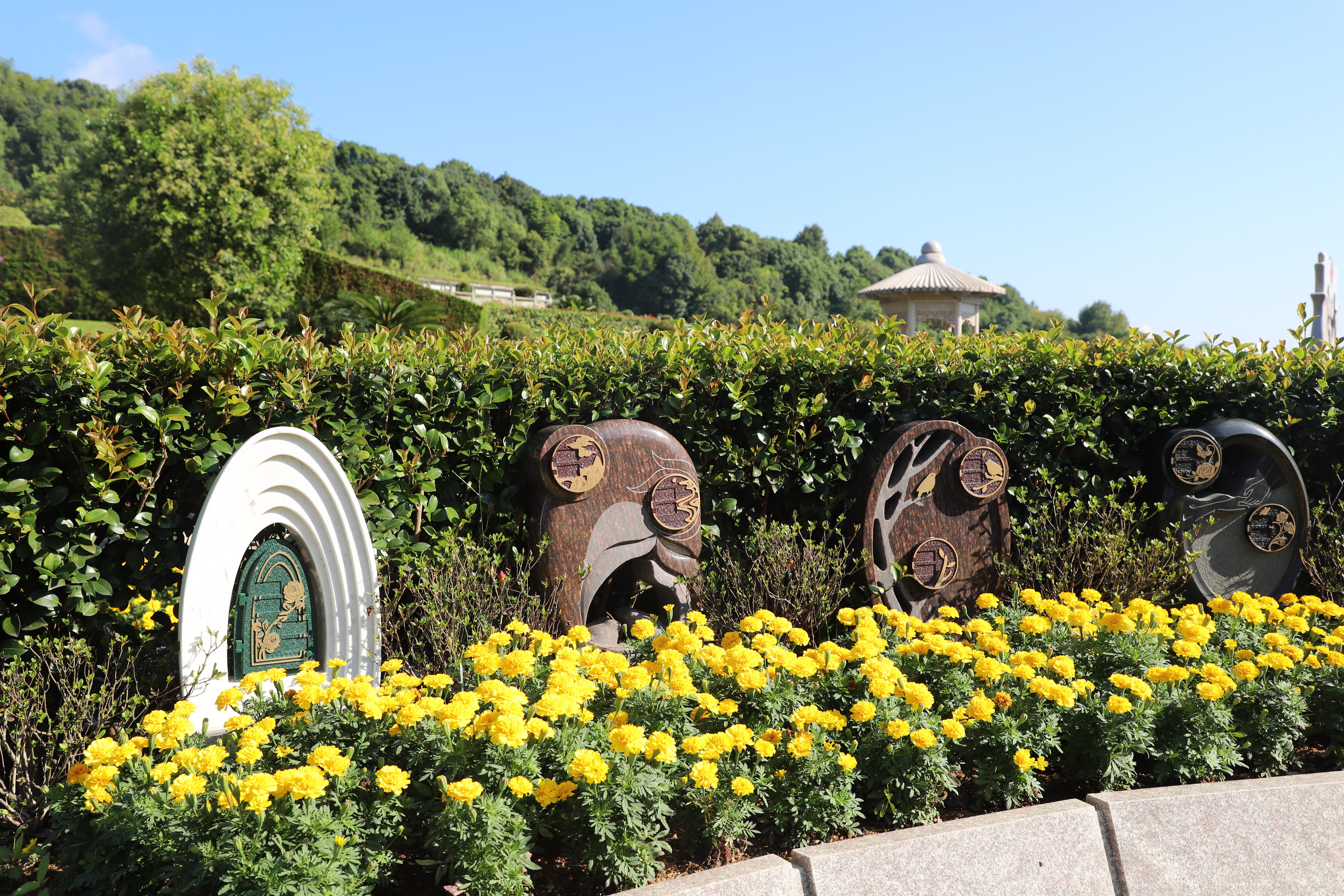 抖圈-为du而生官网入口